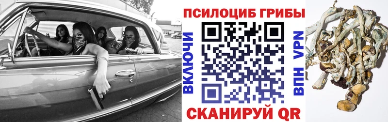 Галлюциногенные грибы Psilocybine cubensis  Сенгилей 
